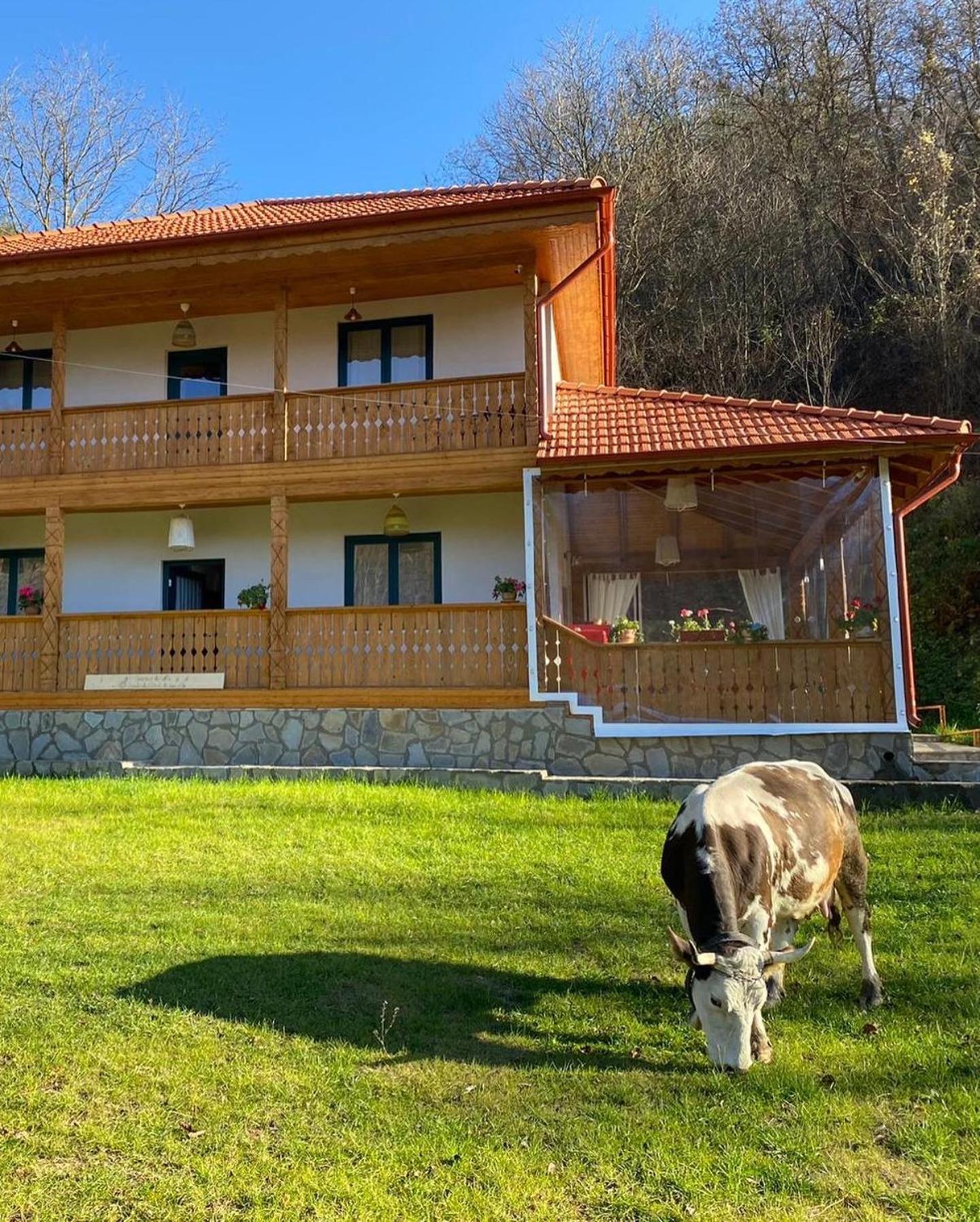 Bed and Breakfast Casa Lila Colti Esterno foto